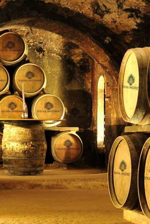Instalaciones Tequila Investment (1)