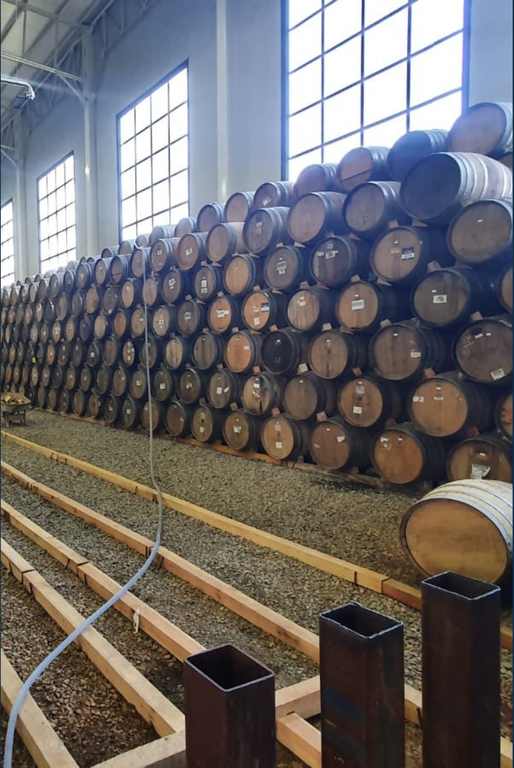 Instalaciones Tequila Investment (2)