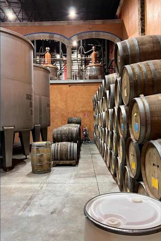 Instalaciones Tequila Investment (4)